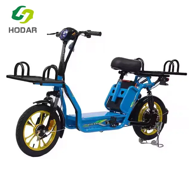 Wie verändert das Elektrofahrrad die globale Mobilitätsbranche?